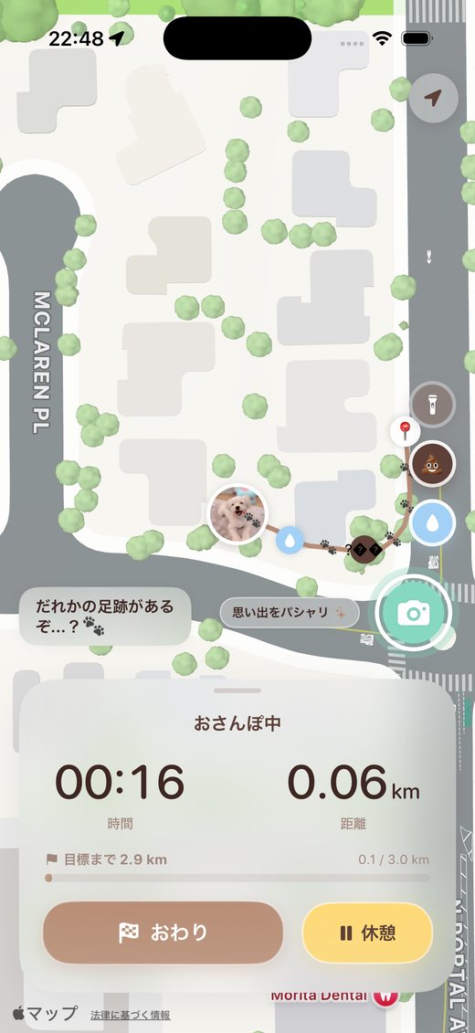 お散歩中のマップ画面